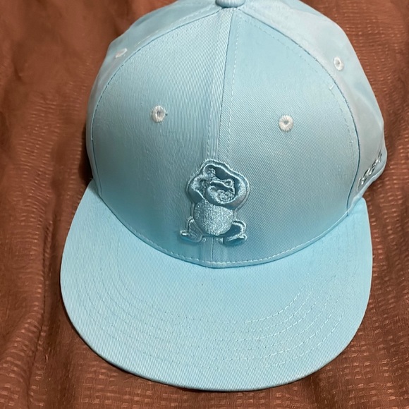 melonwear Other - Chicago cubs baseball cap